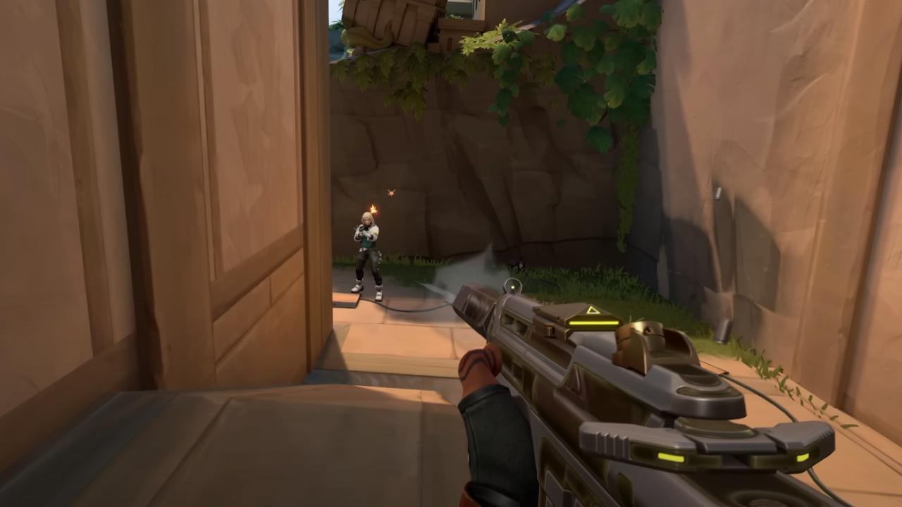 The Official Stance: A Windows-Only World